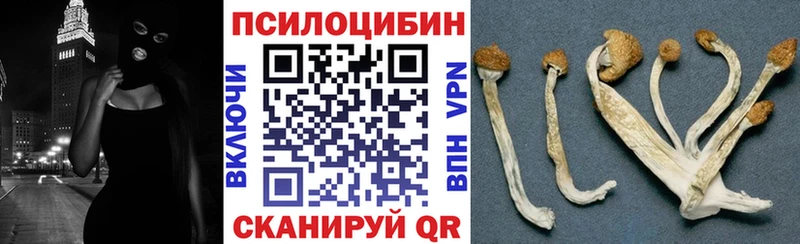 Псилоцибиновые грибы Psilocybe  Вольск 